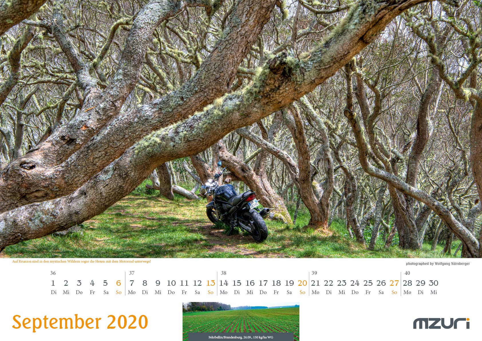 Internet Frauentagskalender 2020 21 09